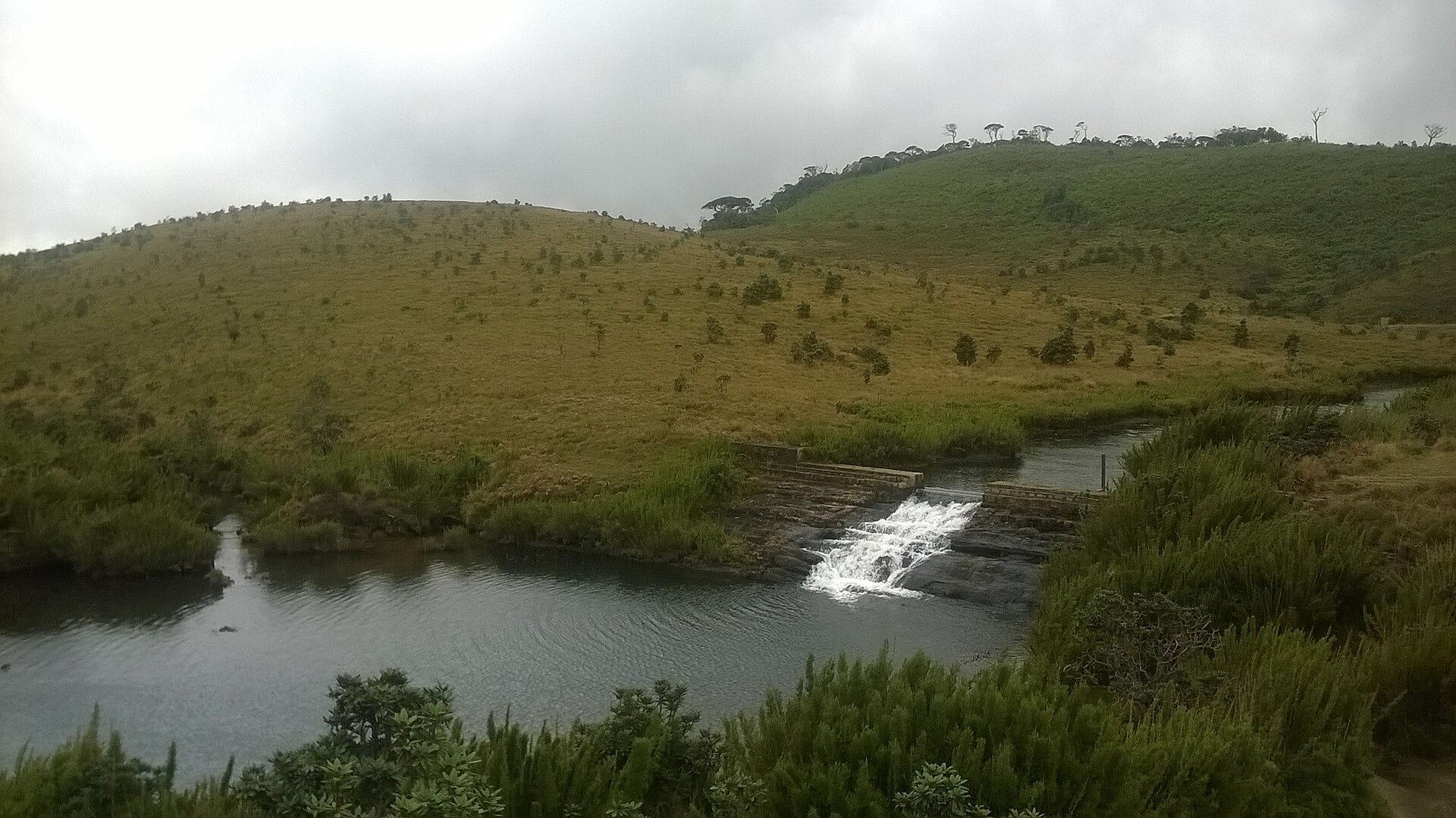 Horton Plains